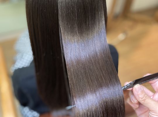 髪質改善のヘアスタイル